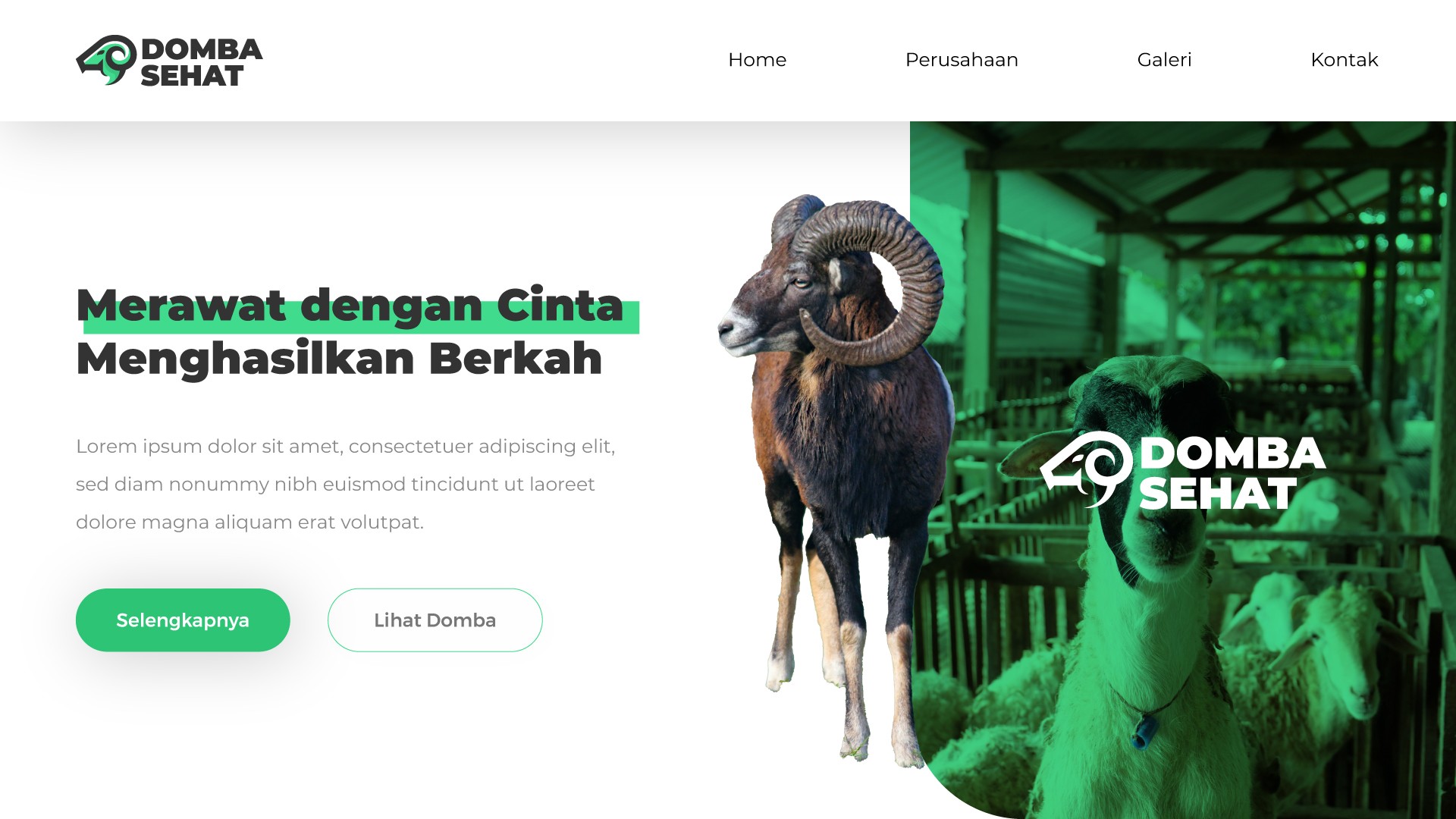 Tampilan website Domba Sehat